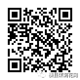 090006xcome9vmo5lwo8rr.jpg