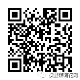 090007emhbpphb0brpqtcc.jpg