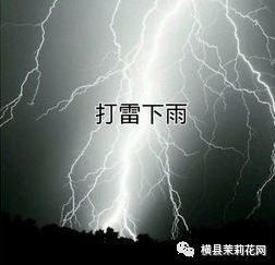 091007cqqazomdnudsqe9u.jpg
