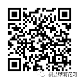 091142crrkwk5g7vghiw7x.jpg