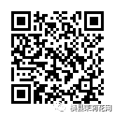 091142hc449q30rcg3rc4v.jpg