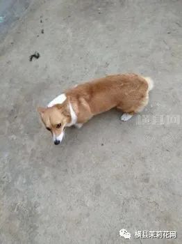 091145mukjwgz6769d83k9.jpg