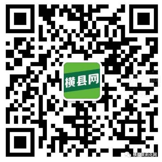 085704c33k97wk3ko11zb3.jpg