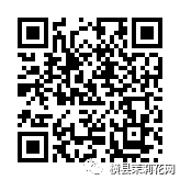 090040ve0zt5y9e9c9t9dt.jpg
