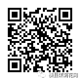 085102xhtih4sasjhx4wsd.jpg
