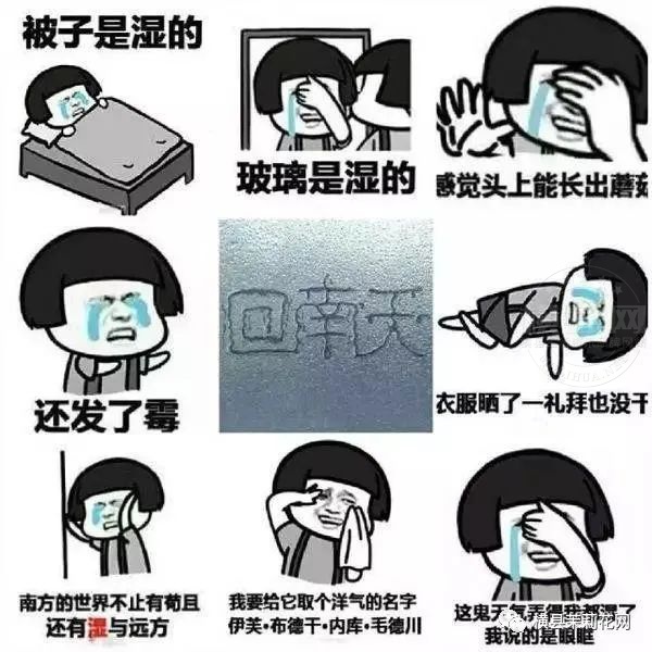 085906m066cajw7ew4o3ke.jpg