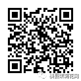 090105veeuf3n40z3ulu3l.jpg