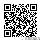 090106ch2kdyvvn2nzzvol.jpg