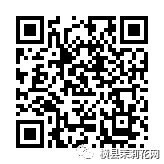 090152hlnx8w658xz2zmgl.jpg