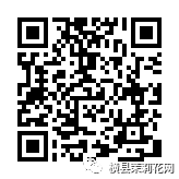 085410uysnrz9cctevst7w.jpg