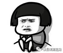 091128gjj6zx5pllol7zhk.jpg