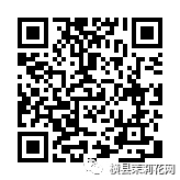 091308uskkk02k9szp78z6.jpg