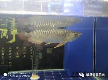 085610hjksd6szhm5cspb0.jpg