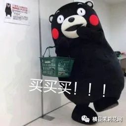 085755z01bh1wucciid06h.jpg