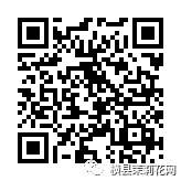 084922wn979t9osg9g9eok.jpg