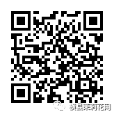 084923h1crosi9tlms100e.jpg
