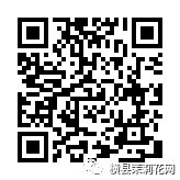 084924qlkkxrbh0oxkkk7g.jpg