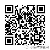 084925qkcdta9x5lz9ldb8.jpg