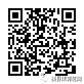 084925q229zy0gfziebrii.jpg