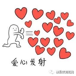 085333qzlfs9tlslz77dz9.jpg