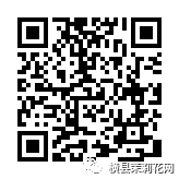 085134y1qn5j5t5ob9hk2z.jpg
