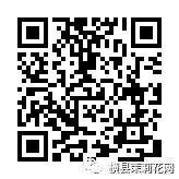 085135ojrmme2miz2egtmj.jpg