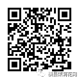 085738vjojll55s1sj5nf5.jpg