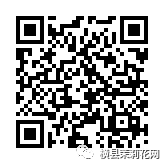 085739b29mqoqo2e5mpiue.jpg
