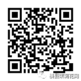 084647geeueteuaxzmfx99.jpg