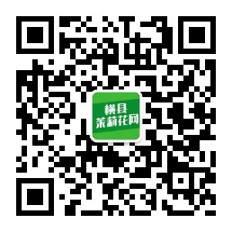 085542jo0rrrajalxzrr30.jpg