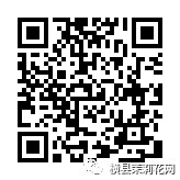 090117g1c9bmym99131nmy.jpg