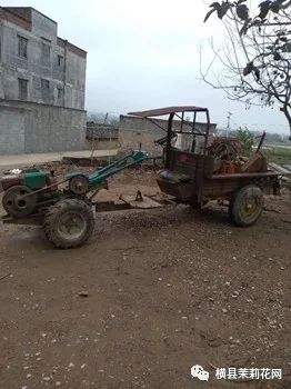 090122f6a6h1haonh5tot4.jpg