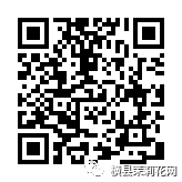 085131rsg3p0vzcv7i7pqn.jpg