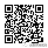 085134mnjbnv99hnvtwbnq.jpg