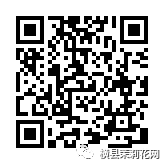 091504c6uhtnj6h6hhj88h.jpg