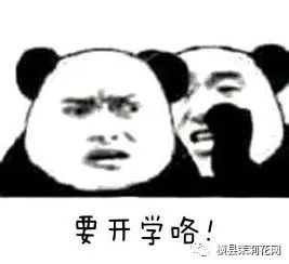 091835v347q7y80akv483v.jpg