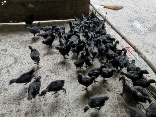 wechat_upload15853158195e7dffeb440d6