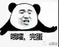 084431t9865bakwk6yi3yz.jpg