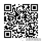 084701iterkp5r4prhwhrp.jpg
