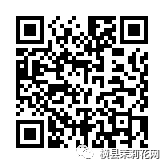 085031idl6n5boasosdylt.jpg