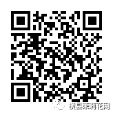 085032yf5aa1g6p1tf1fg0.jpg