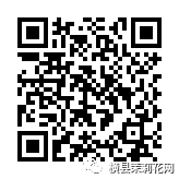 085033i5xbuulfl0ay1t9t.jpg
