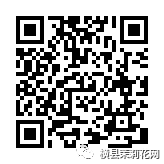 091152hqou141817ititbo.jpg