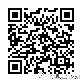 091153w87toesi22ss3285.jpg