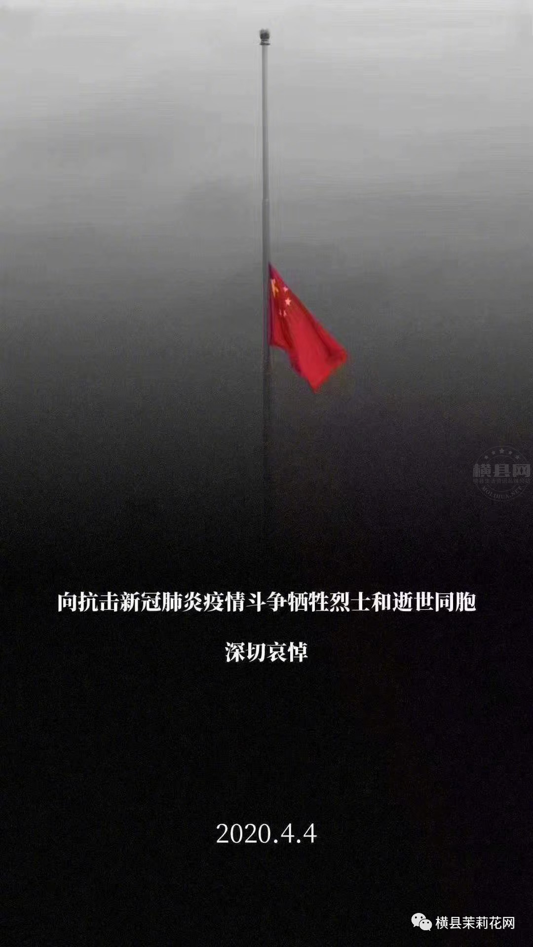 085616c53ildqvpiobwm4d.jpg