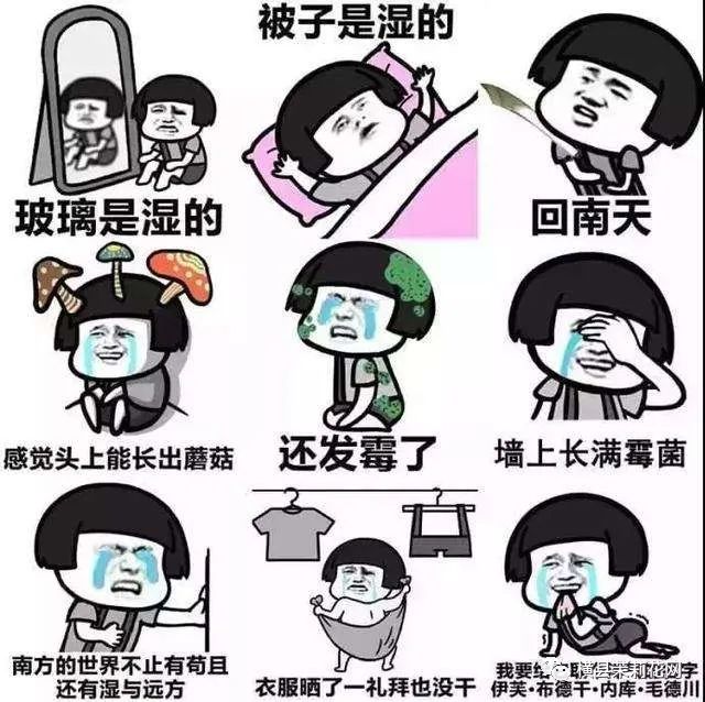 090149wb366u1l6nz1t1h9.jpg