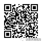 092049xi11dlh159a91shl.jpg