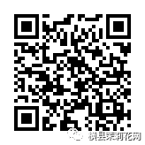 090052qrecdetgo556b5t5.jpg
