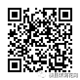 090053tl7shewx2xi5gmse.jpg