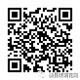 090053jtkmiczm9m9az7ff.jpg